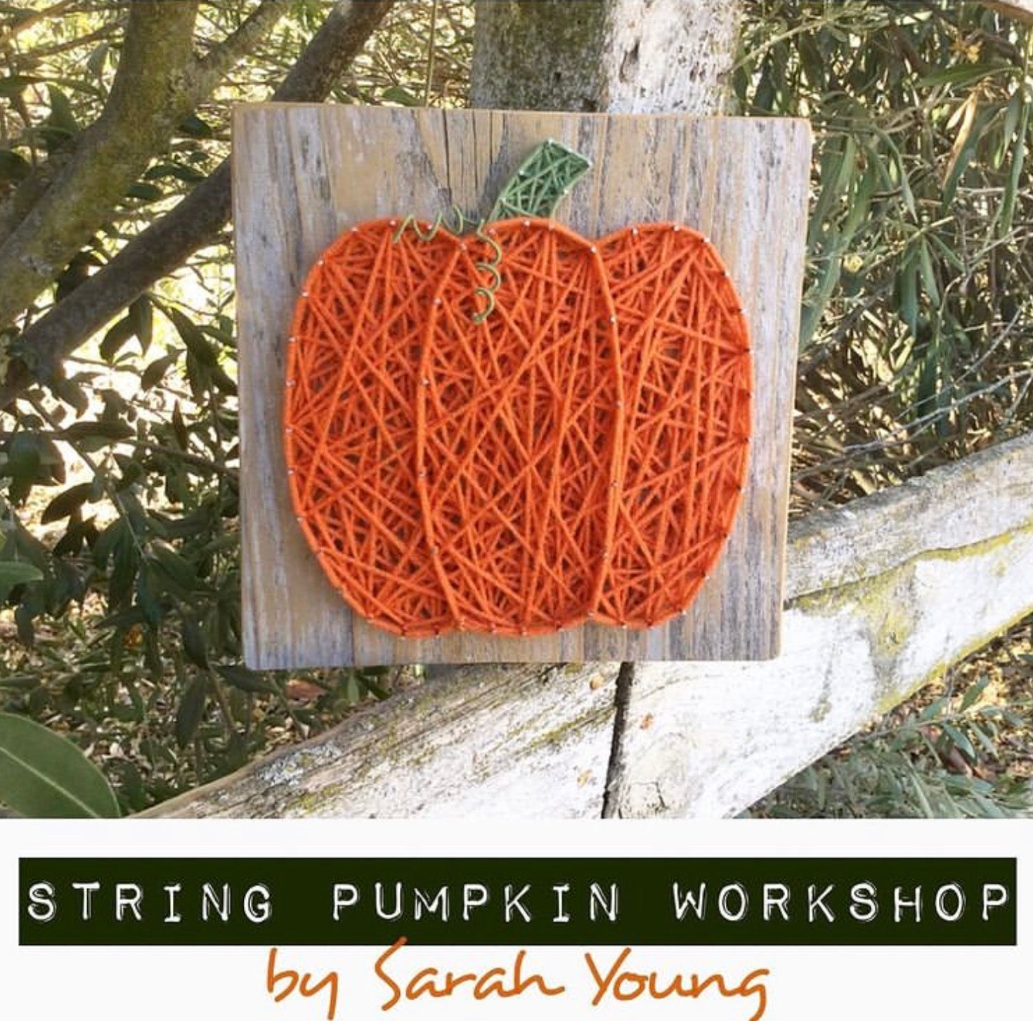 String Pumpkin Workshop: Tuesday, October 21st, 6 - 8:00pm with Sarah Young