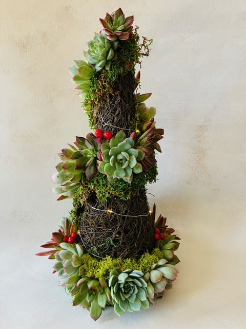 Succulent Christmas Tree Workshop: Thurs., November 13th 6-7:30pm with Prickly Pear Farm