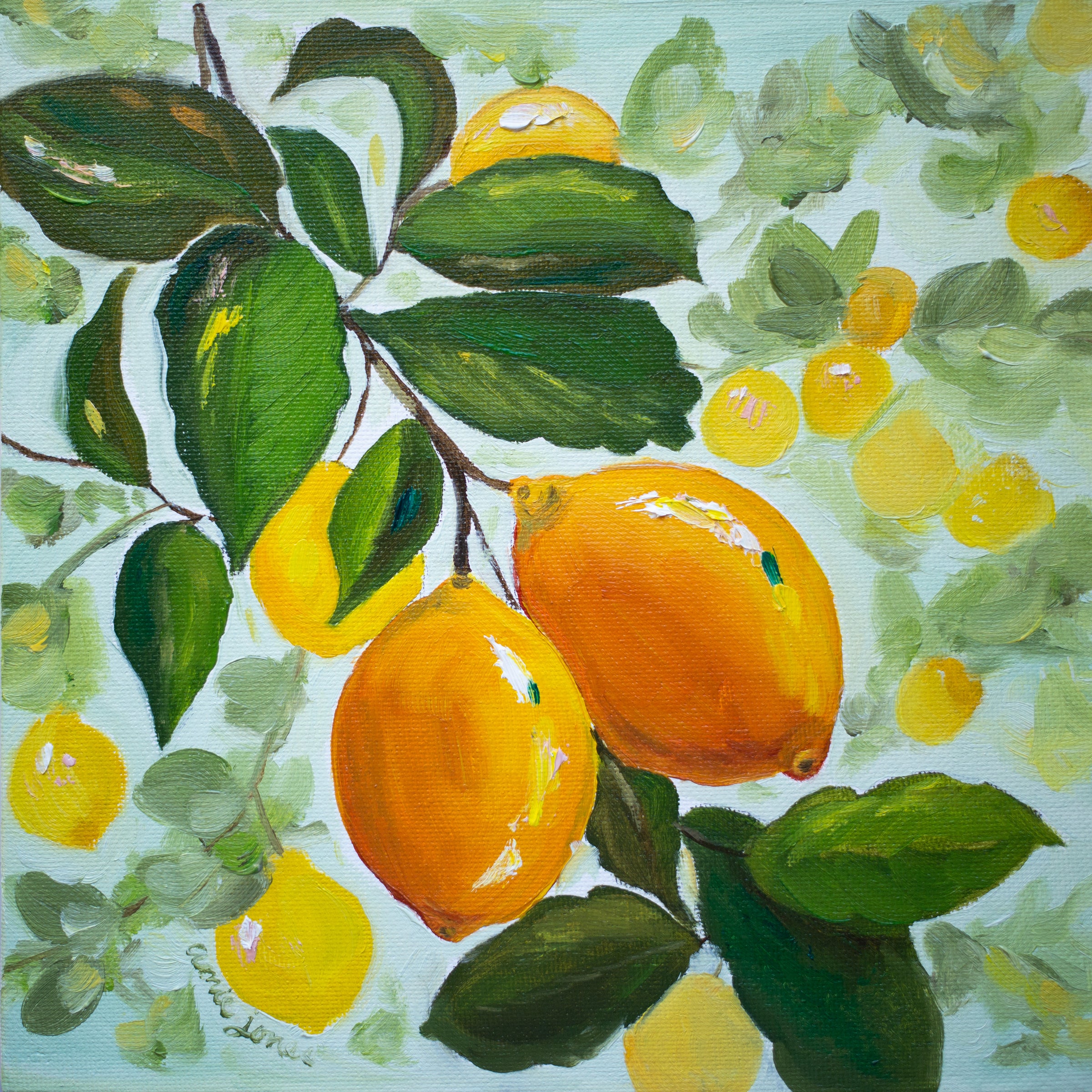 Oil Painting- Backyard Lemons July 18th