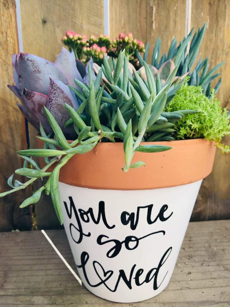 Mother’s Day Pre-order! 7 inch Terra Cotta Pot With Succulents and Hand Lettered Quote “ You are so loved”