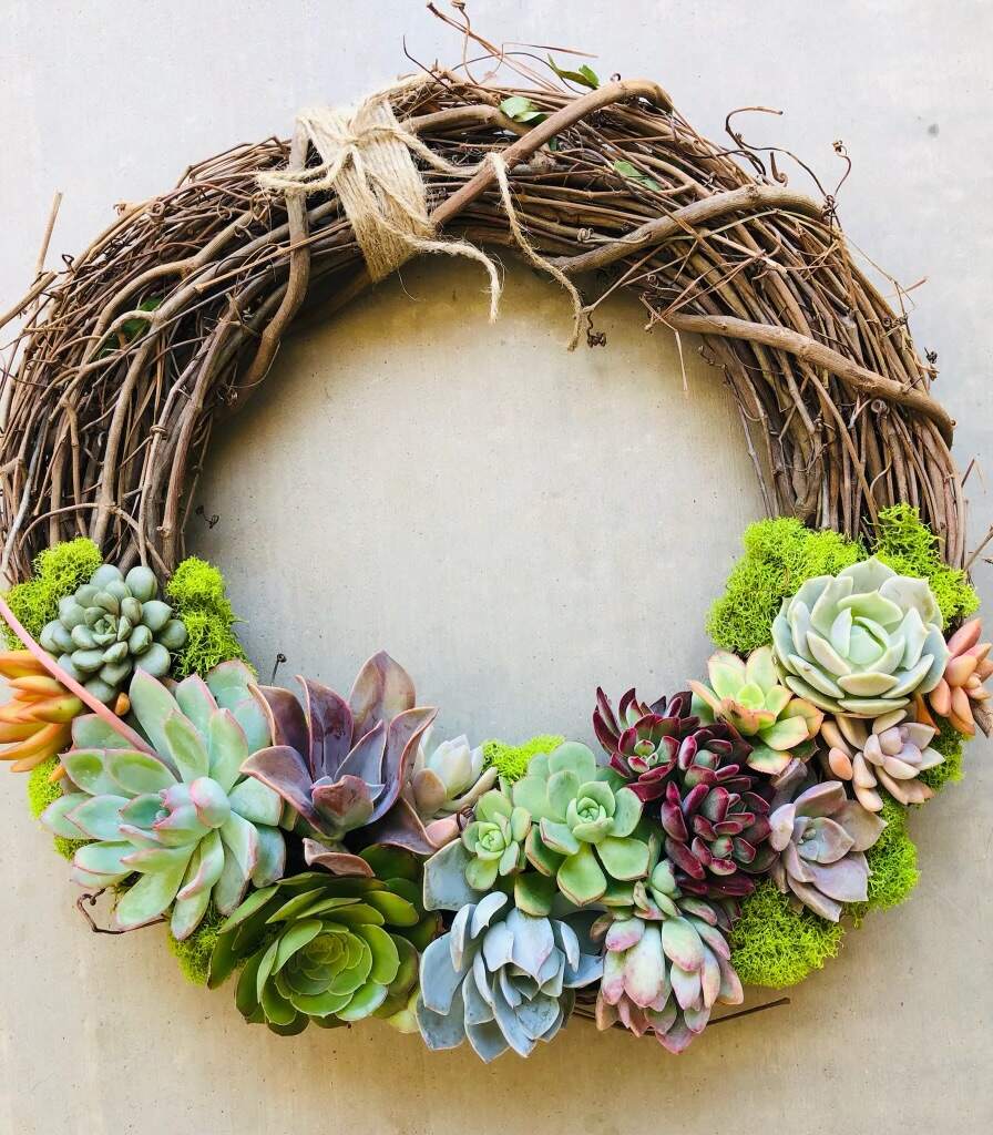 Mother’s Day Pre-order! 12 inch Living Succulent Wreath