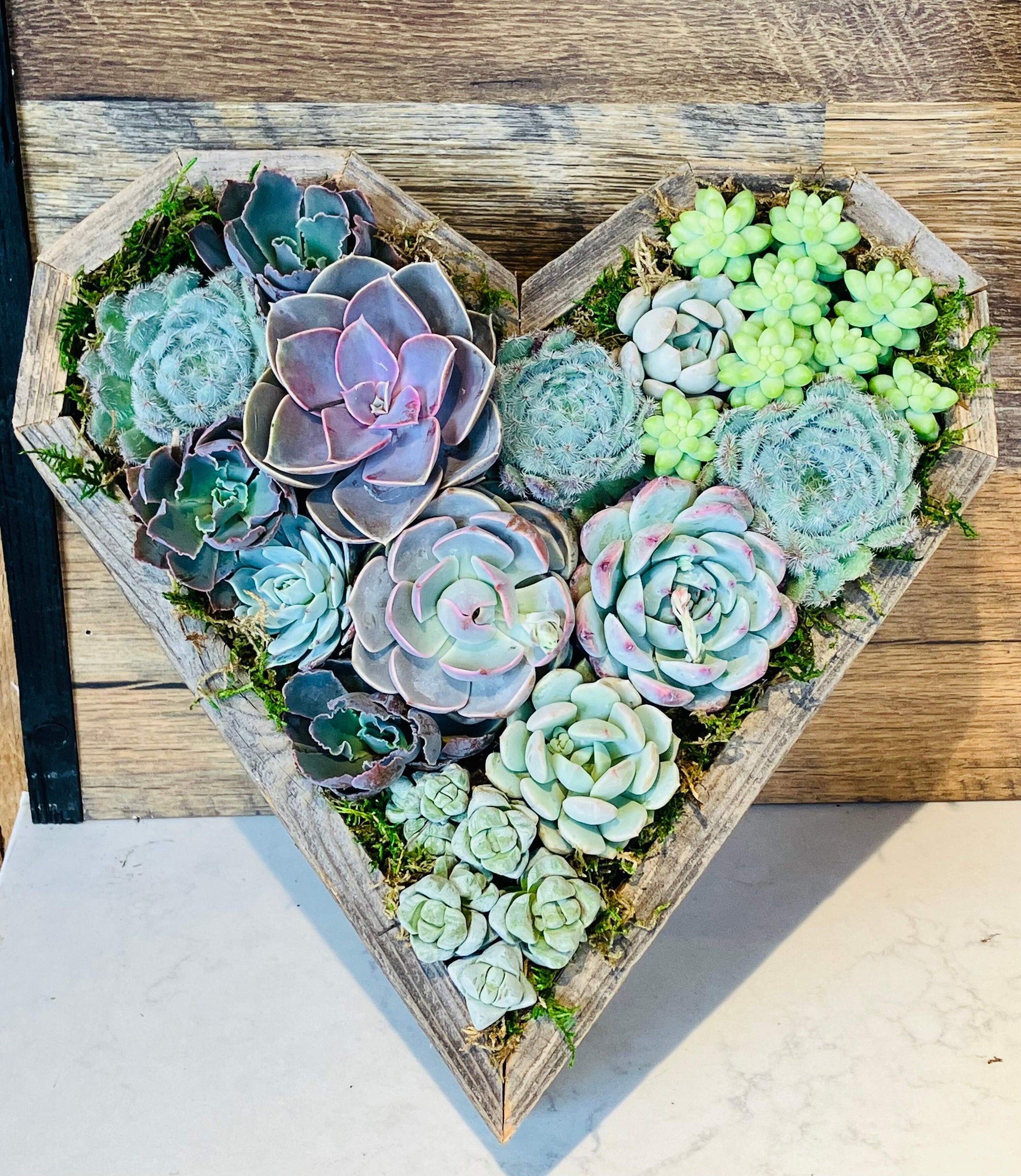 Mother’s Day Pre-order! 12 inch Repurposed Wood Heart Filled With Live Succulents