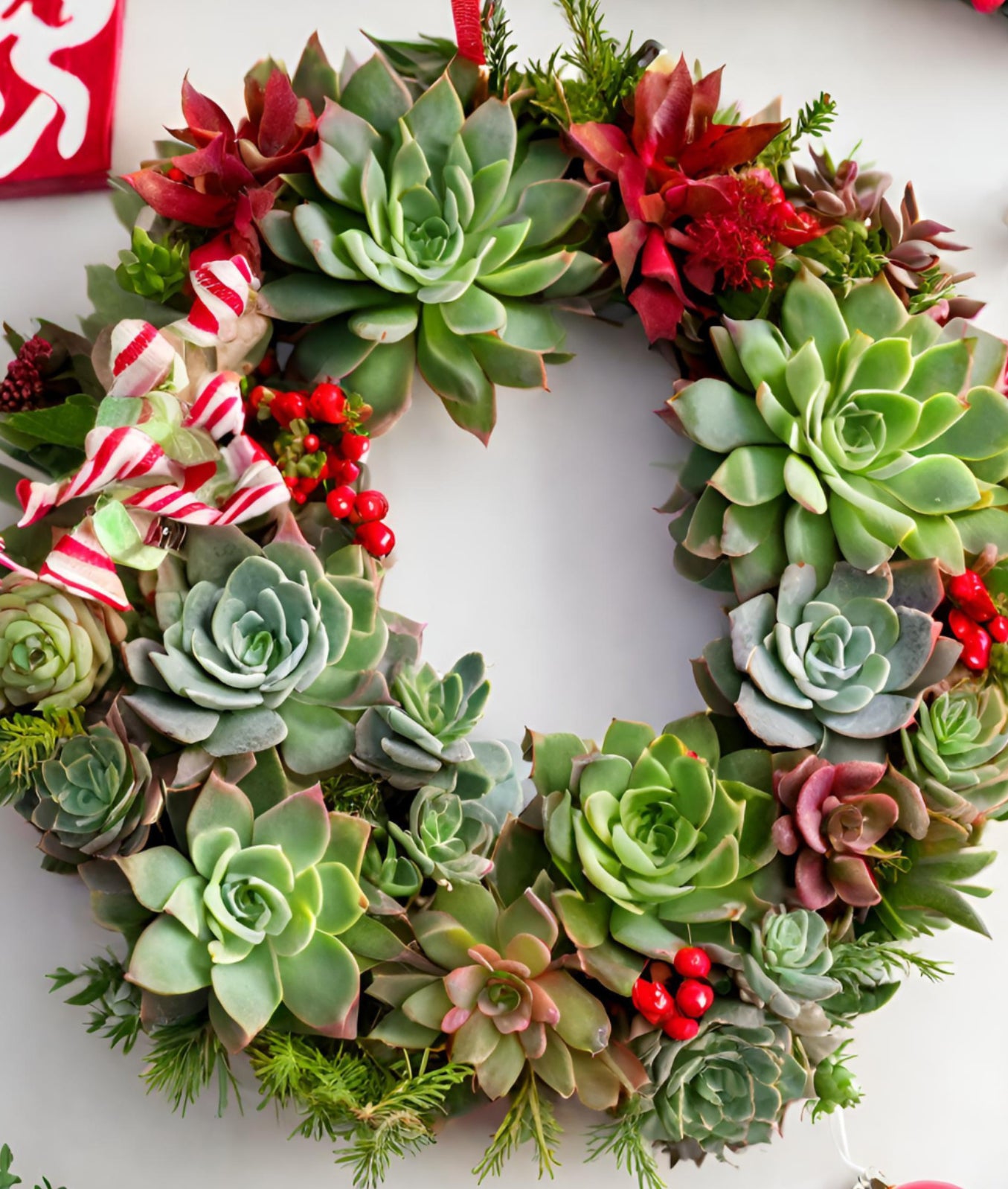 Christmas Succulent Wreath-Thursday Dec. 11th 6p-7p