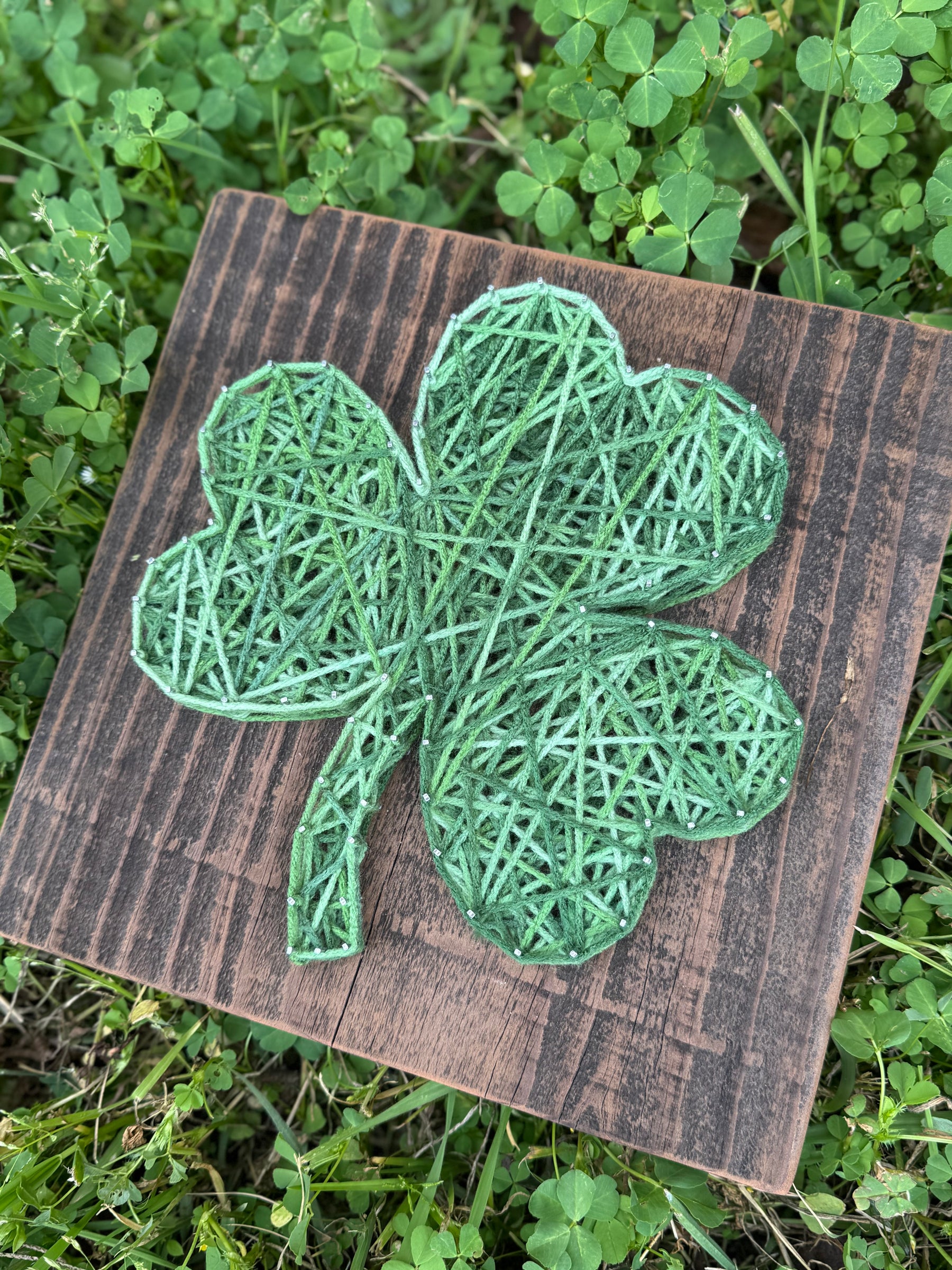 String Shamrock Workshop: Tuesday, February 25th  6 - 8:00pm with Sarah Young