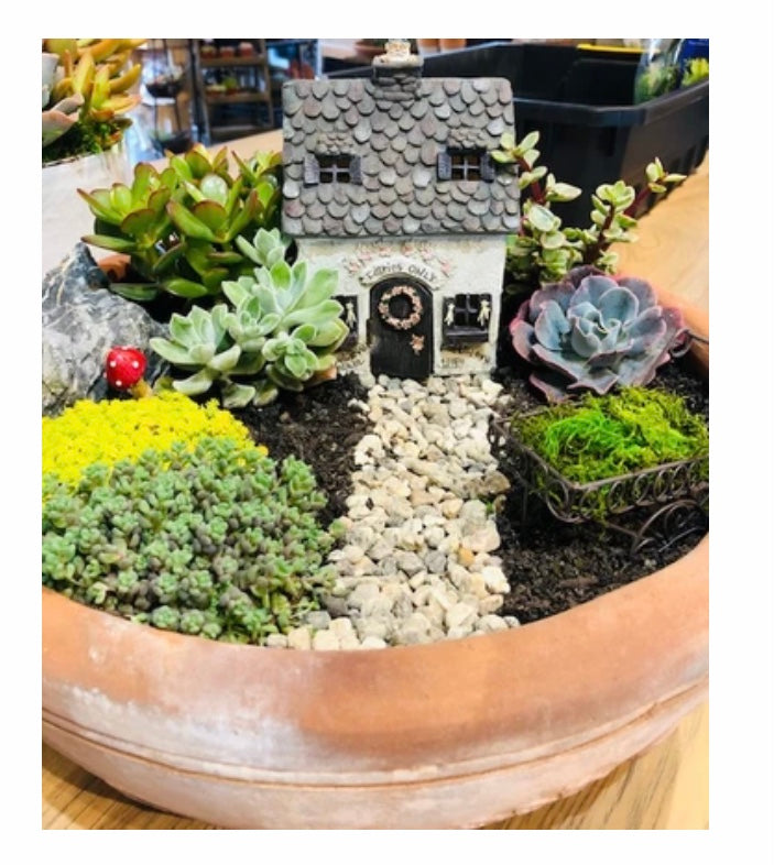 Fairy Garden Workshop: Friday, Feb. 27th 6-7pm with Prickly Pear Farm