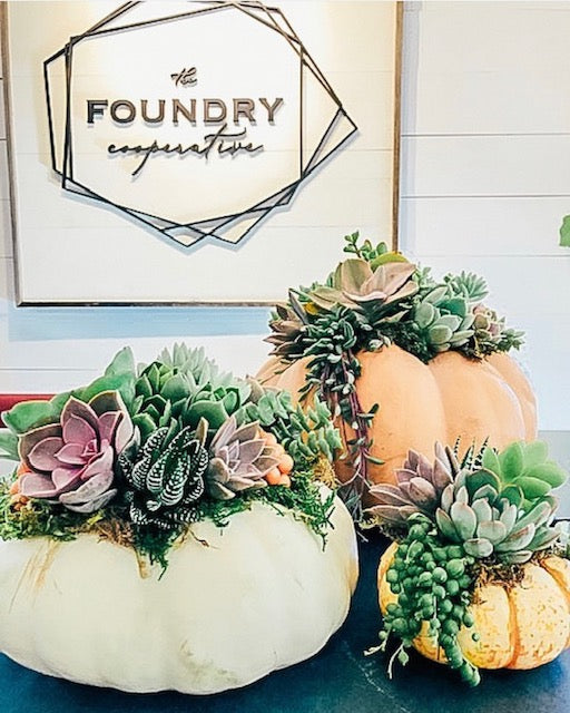 Succulent Pumpkin Workshop: MULTIPLE DATES with Prickly Pear Farms