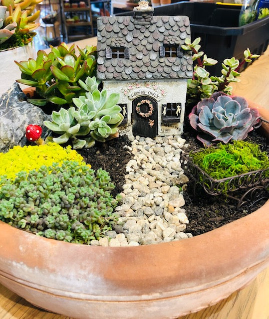 Fairy Garden Workshop: Friday, March 14th 6p- 7pm with Prickly Pear Farm