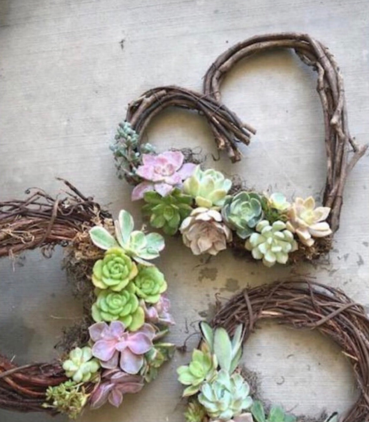 Grapevine Heart Succulent Wreath Workshop: Friday, January 31st 6-7pm with Prickly Pear Farms